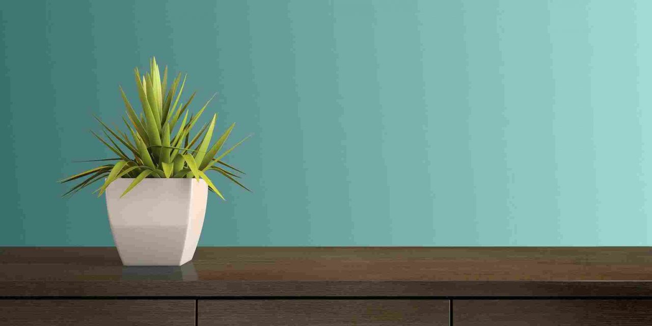http://beryk.pl/wp-content/uploads/2017/06/portfolio-left-07-1280x640.jpg